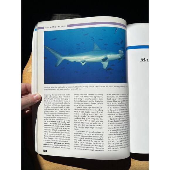 Guide to Marine Life Caribbean Bahamas and Florida by Clay Wiseman and Marty - Picture 3 of 7